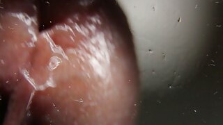อลีนาโลเปซ